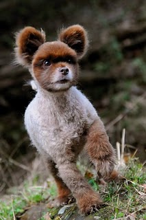 Yogi the Bear1998-2012